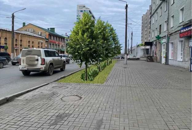 На перекрестке улиц Профсоюзной и Ленина высадят деревья и обустроят газон