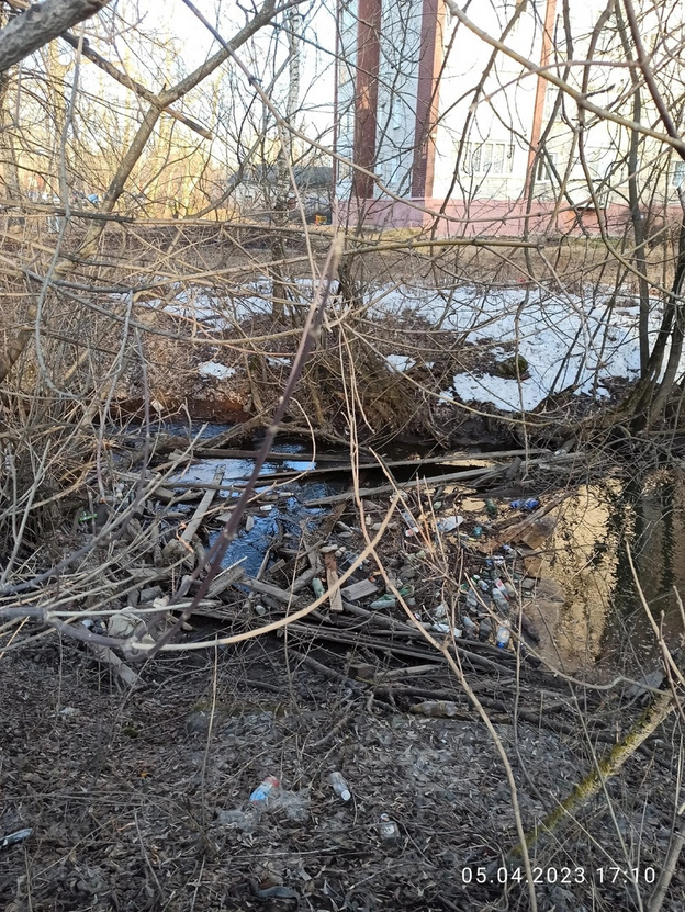 Кировчане пожаловались на кучи мусора в реке Люльченке