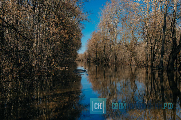 Весеннее половодье в Кирове 2026. Фото