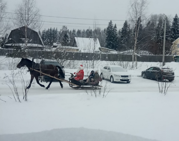 В Кирове заметили Деда Мороза, катающегося на санях по проезжей части