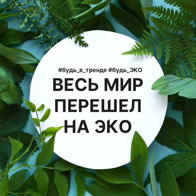 В выборах-2021 «Зелёные» улучшили свои позиции в отдельных регионах. Кировская область - на очереди