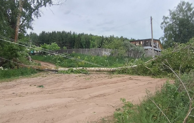 По Кировской области прошёл сильный ураган. Фото и видео