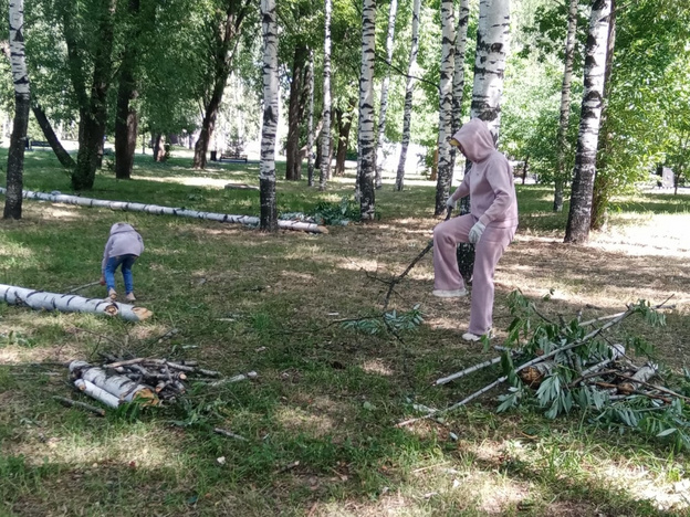 Кировчане семьями почистили Кочуровский парк от мусора и сухих деревьев