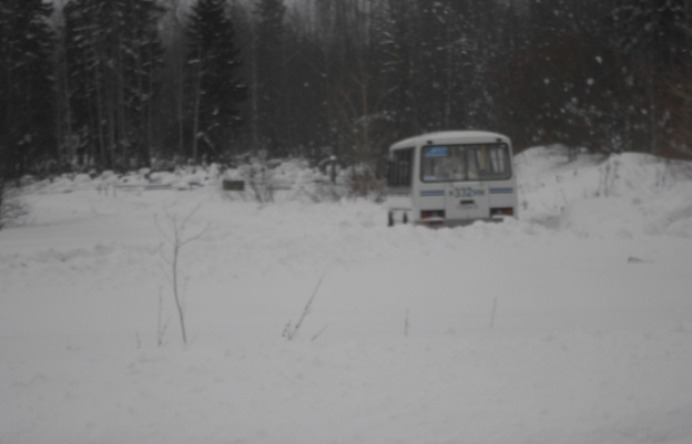 «Возим покойников на санках». Кировчане жалуются на заваленные снегом кладбища