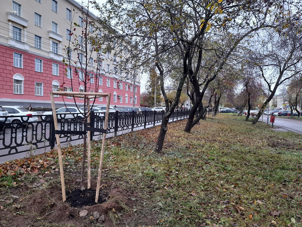 На бульваре Октябрьского проспекта начались работы по озеленению