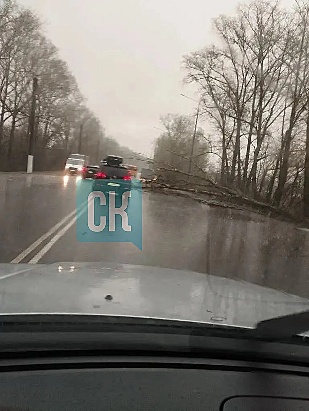 В Кирове из-за грозы падают деревья, окна и заборы. Фото