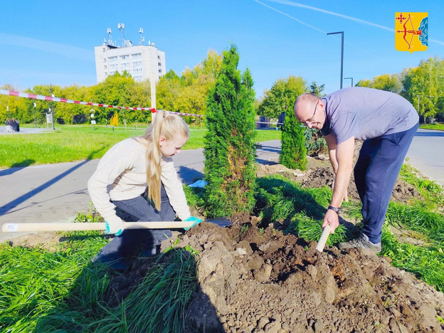 В Кирово-Чепецке появилась новая аллея из елей и туй