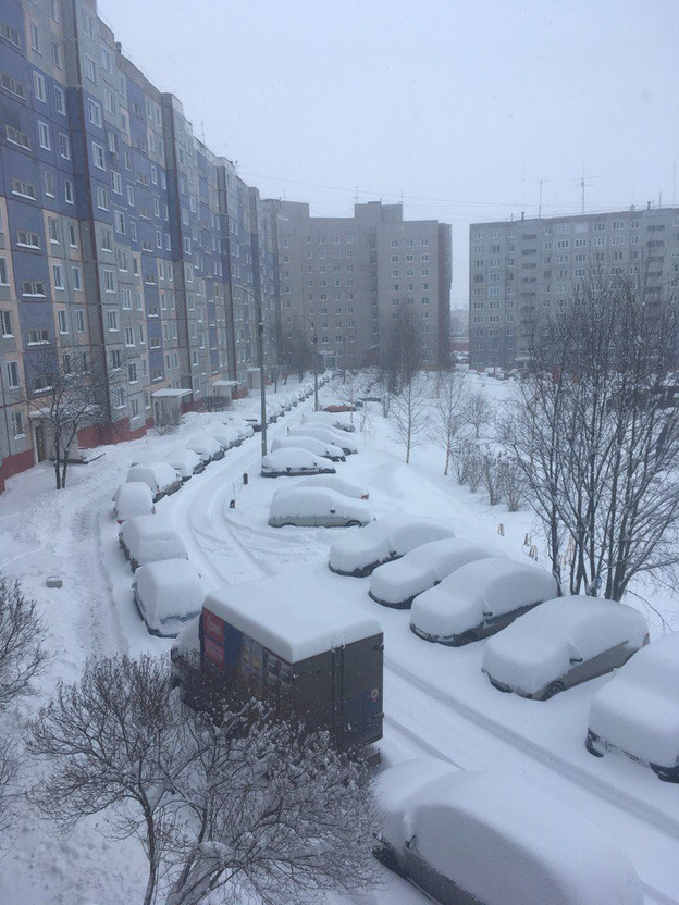Как и год назад. Вечером 21 апреля Киров замело снегом. Фото из соцсетей