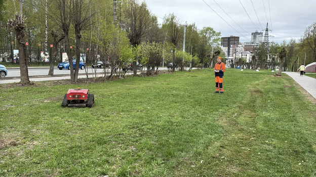 В Кирове подрядчики начали косить траву