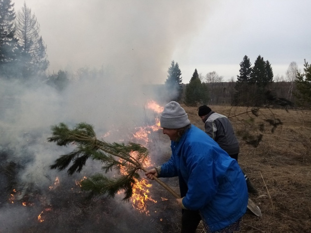 В Вятскополянском районе жители деревни помогли спасти лес от пожара