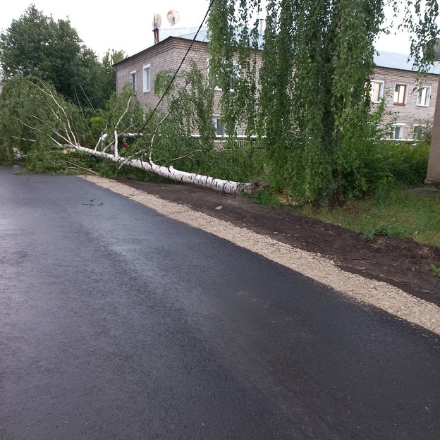 Поваленные деревья, помятые автомобили. Последствия непогоды в Кировской области. Фото