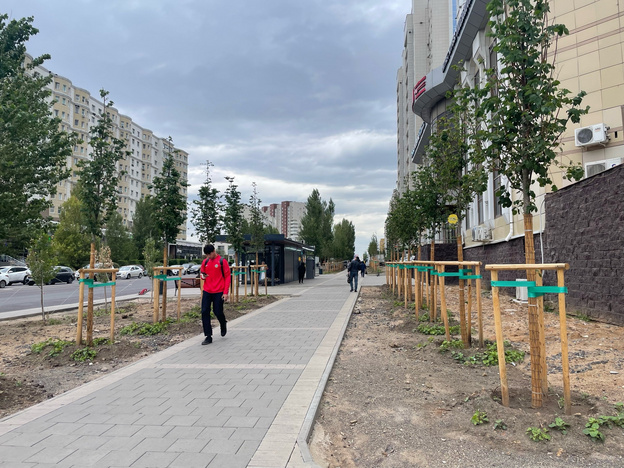 Специалисты Кирова и Астаны обменялись опытом озеленения городов