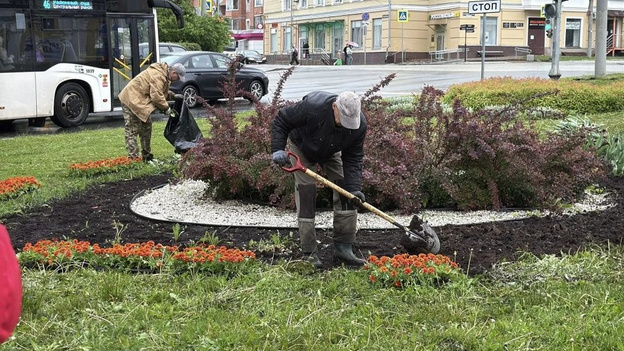 В Кирове до 12 июня высадят больше 34 тысяч цветов