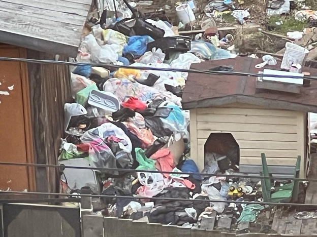 Сейчас помойка