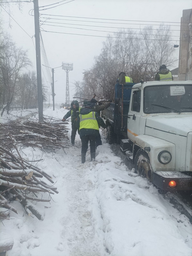 На девяти улицах Кирова провели санитарную обрезку деревьев