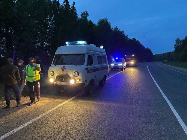 В Нолинском районе иномарка съехала в кювет. Есть пострадавшие