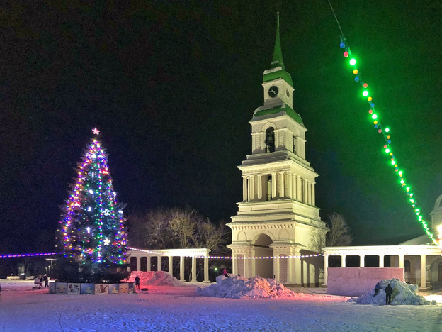 Ёлки-палки: подборка новогодних елей из райцентров Кировской области