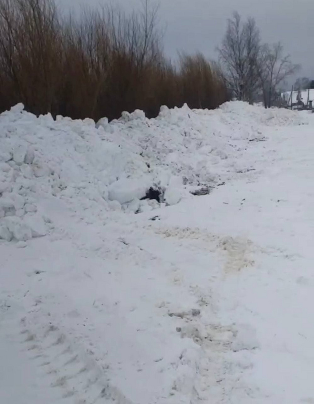 В Омутнинске пожаловались на свалку грязного снега в водохранилище