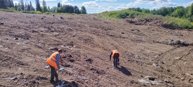 В Кировской области до конца года ликвидируют более 40 свалок