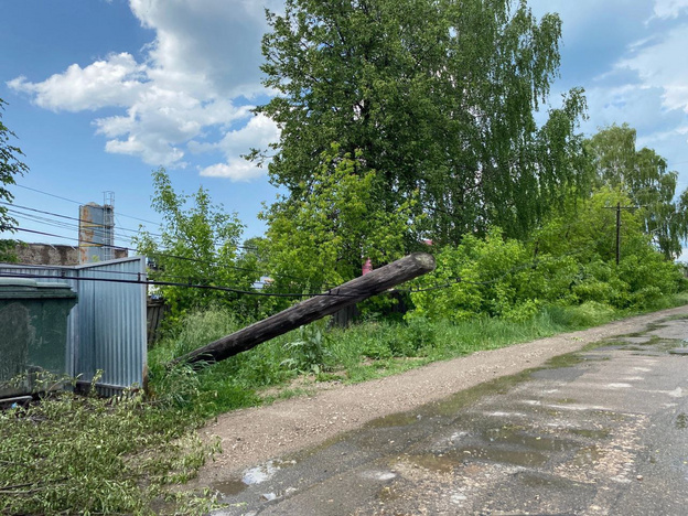В Советске сильный ветер сломал и повалил деревья