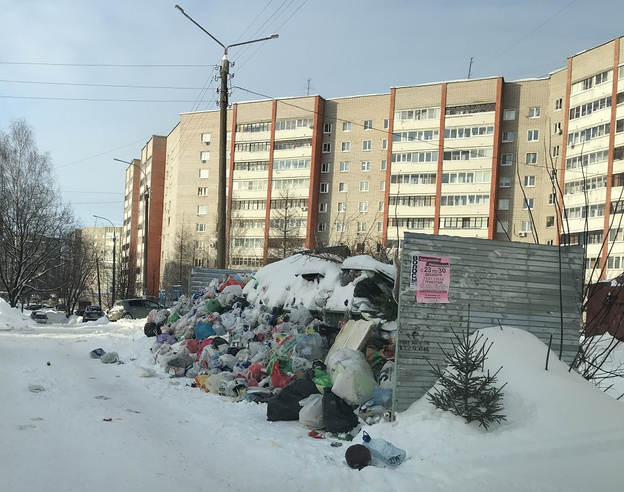 Илья Варламов оценил кировские горы мусора