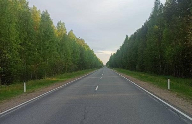 В Кировской области произошло ещё одно ДТП с участием лося