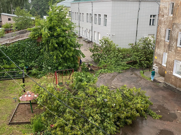 Поваленные деревья, помятые автомобили. Последствия непогоды в Кировской области. Фото