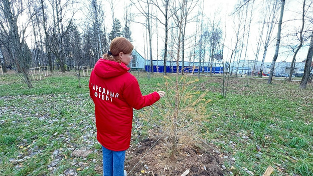 В Кирове проверили благоустройство Парка Победы за 35 млн рублей