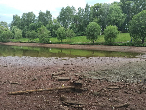 Как выглядит пруд в парке имени Кирова во время спуска воды. Фотолента