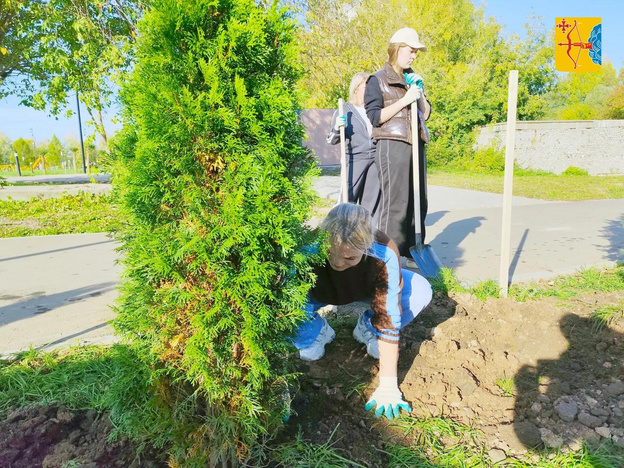 В Кирово-Чепецке появилась новая аллея из елей и туй