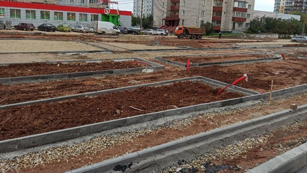 В парке имени Кирова делают площадки для йоги и выгула собак