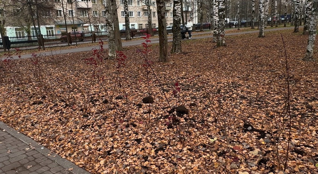 В Кирове проверили благоустройство Парка Победы за 35 млн рублей
