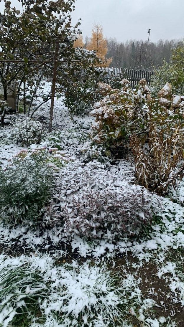 В Кировской области выпал первый снег