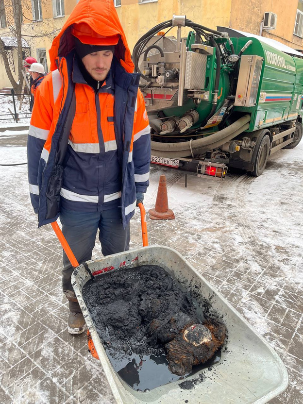 Из-за Чебурашки засорилась канализация в Санкт-Петербурге. Фото