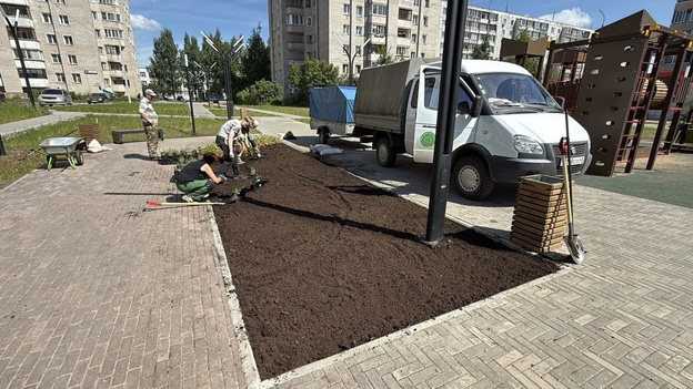 В сквере на Юровской высаживают деревья и кустарники