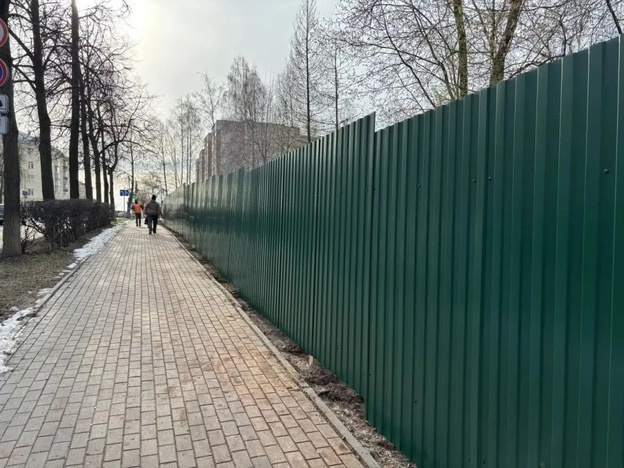 На Аллее Славы в Кирове высадят дубы, ели, липы и лесные яблони