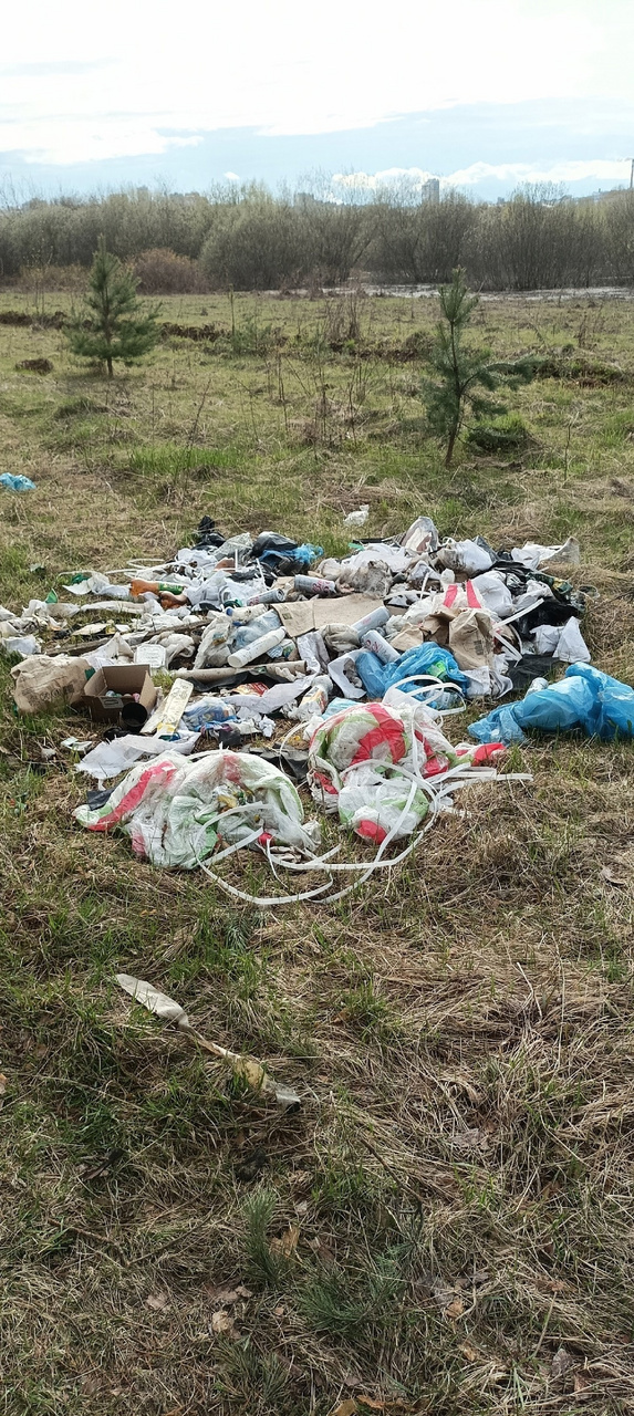 В Заречном парке обнаружили две кучи бытового мусора