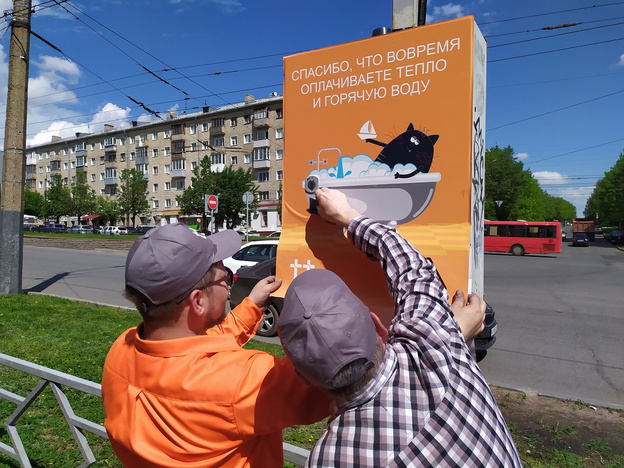 В Кирове развесили плакаты с котиками на электрошкафы для защиты от вандалов