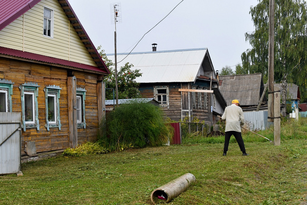 В Кировской области теперь можно сидеть в интернете даже из теплицы. Топ-5 полезных сайтов для садоводов