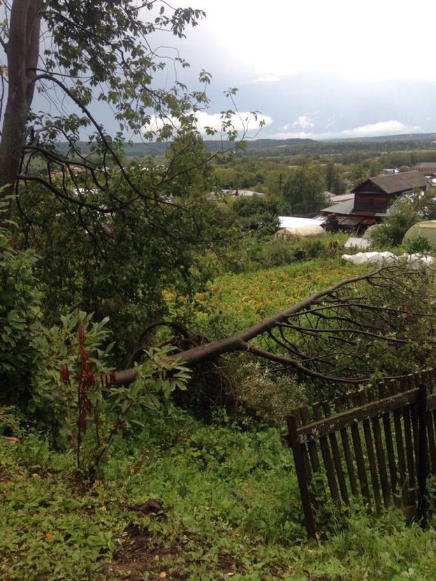 Дома без крыш и поваленные деревья: в Нолинске прошла мощная гроза