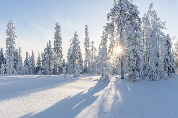 Морозы в Кировской области продержатся до выходных