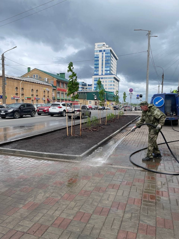 На перекрёстке Профсоюзной и Ленина в Кирове завершили озеленение