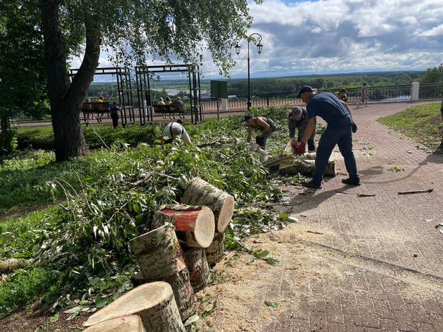 В Кирове поваленные и сломанные деревья уберут в течение недели