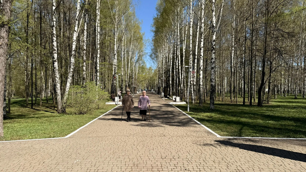 В кировском парке Победы создадут единую сеть пешеходных дорожек