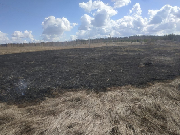 В Кировской области зафиксировали первый ландшафтный пожар