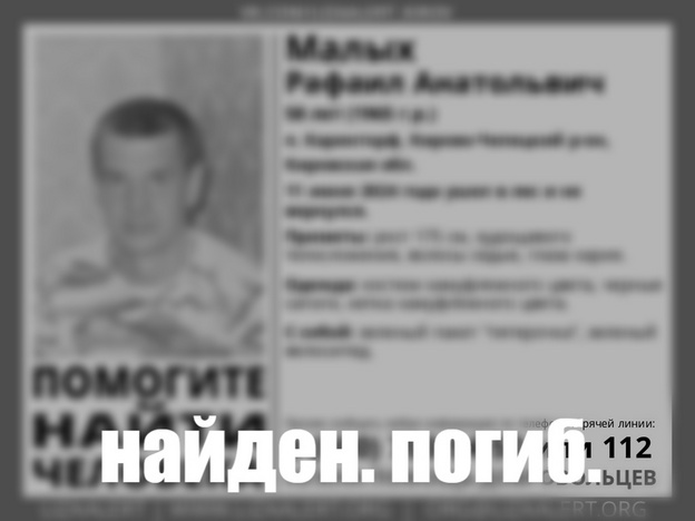 Пропавшего 58-летнего жителя Каринторфа нашли мёртвым