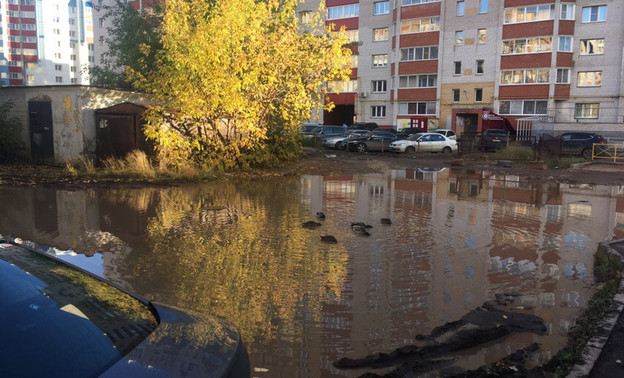 На улице Орджоникидзе появился «пруд» с утками