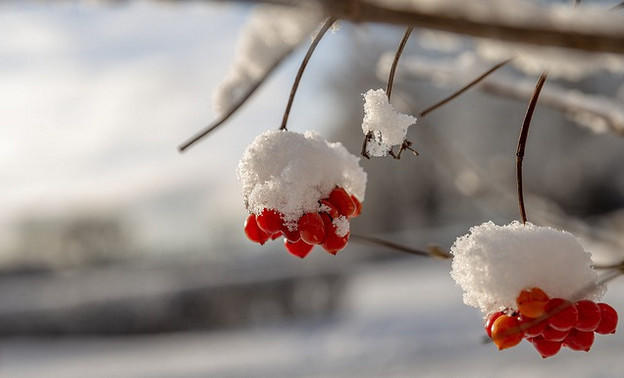 Погода в Кирове. В среду потеплеет и выпадет снег