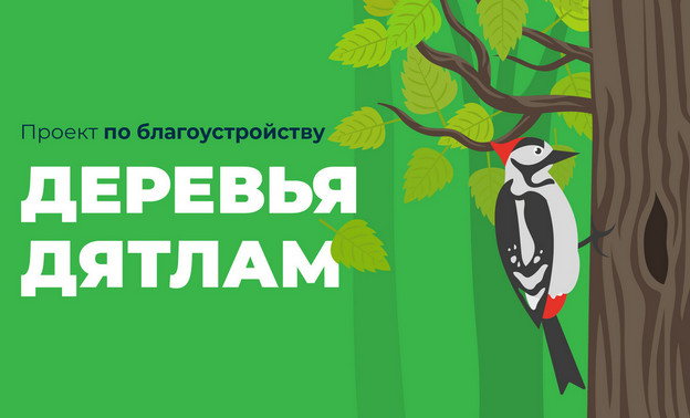 Кировчане запустили проект по очистке деревьев и придорожной территории от мусора