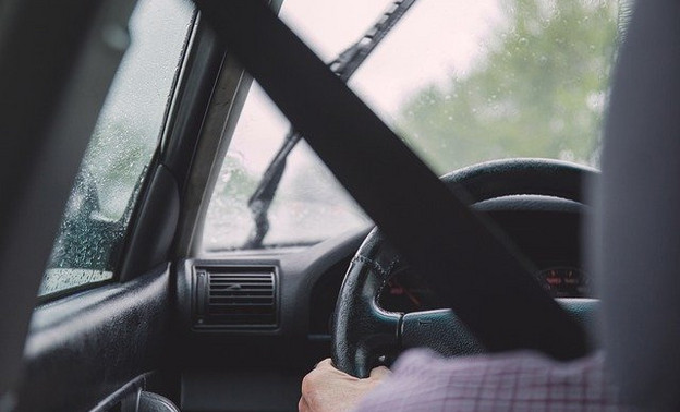 Минцифры: автовладельцы могут обжаловать штрафы на «Госуслугах»